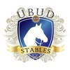 Ubud Horse Stables شعار